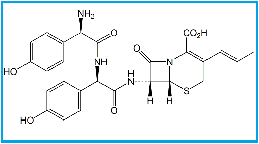CEFPROZIL EP IMPURITY J  